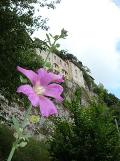 assisi marcia 2011 490